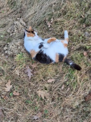 1bae7bdd-774a-4bc5-8acd-2e0697a7017e