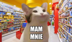 6e317b28-be99-4e4d-9b51-d1f18348dd63