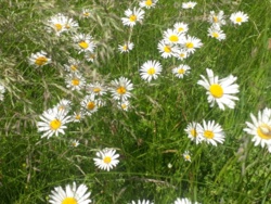 2226e193-f4d3-496a-a891-0334ae4d249c