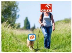 69856c83-50c8-412d-a860-e1dfac648f61