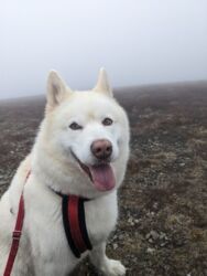 1898cabb-081e-4d29-9293-14f3bd38c2af