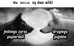 7d0ada6b-60ce-4a84-8ed6-e7cd98360a44