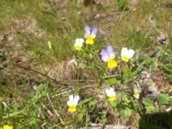 88713fb2-a940-4c68-9973-552f111ca805