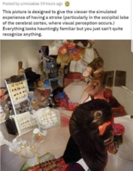 f7989c0d-4051-4ab6-a958-37c87d57a883