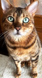 f4e40103-1fc9-4a3e-977c-f81ff96f44a7