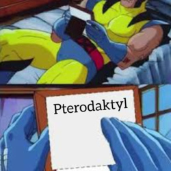 56606b9b-9484-4c31-98fc-aa6335b916d4