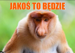 4810bfb3-c5b7-4537-85e9-2f7d54d0fa08