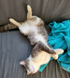 95e42705-c0ec-45c4-a627-e52353aa9659