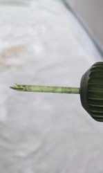 3768cec8-162c-4c98-93f5-04acc9a9ec4b