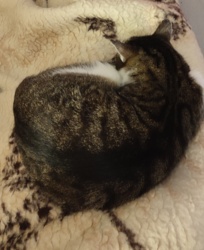 587fce95-f707-46ba-9ac0-0cea78c66985