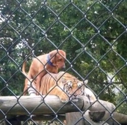 f9932993-b533-4c89-8b3e-22efa1734138