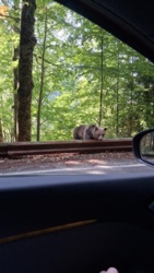 7dfbc11b-1728-420f-9dc3-6077f8090d29