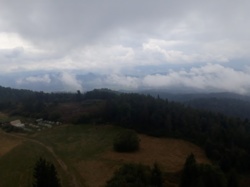 6a451396-690f-4b23-abbe-2f82442f563e