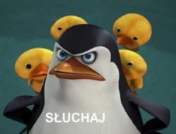 cb5e4928-6c87-420f-9d24-6345e819e7a5