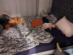 0dc8be2c-ebea-4839-afd7-3a76fec62e30