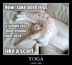 59df0bda-d62b-4b31-b902-bde02216aa4f