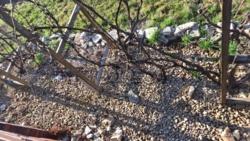 2ac58d7e-7ef1-487b-8a87-60c098e313f4