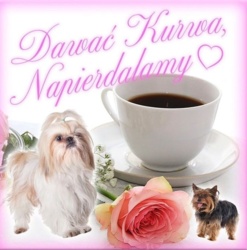 1b8f097e-58dd-4399-81ed-9221c36ff071