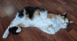 5bd8a002-c162-4354-94de-2cecc3230f83