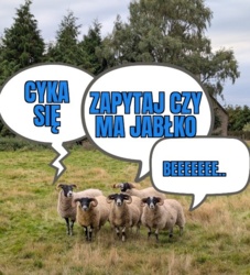 3b12ae37-12de-438e-bfae-d4543b7ea4f5