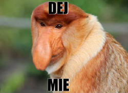 c04278d9-dca4-426e-9325-547c1fb17d57