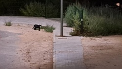 1b32cc85-53c8-4b74-b5ef-dff0d37d6b40