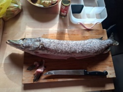 f7d74287-7a5f-4c2f-a3dc-1196714070cc