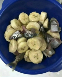 fa8aa907-1831-43b1-af34-73748b523950