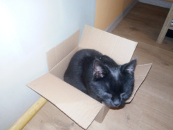 e25d3710-43d9-4413-a9d2-b07fad4c8770