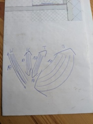 162f088e-4587-44f5-8e1d-d775b4071538