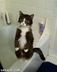 16658f09-c978-48f7-98ad-572090ec0fa5