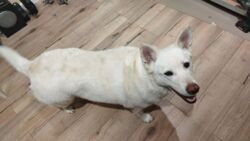 a74c9568-944a-4c00-92d5-6ab5e5a355c6