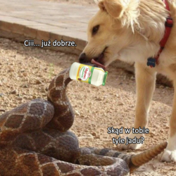 7f67e727-5582-4273-9f61-83187f1174ec