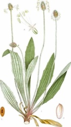 dba65107-a639-40aa-b17e-6734bb2b5fcd