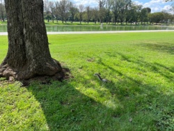 1c93e6cd-9750-4785-9cd2-3e23021b7eb6