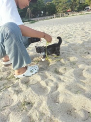 1691a5db-6b8f-4097-a7ce-1dbc72d5044d