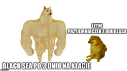 ce19eb3b-7ccf-4403-ac9e-1ab2cc58a562