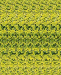 c8931420-7208-4934-9bd5-2403b7142c65