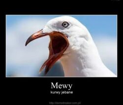 e6730048-937d-4bda-813d-568a4bf46c78