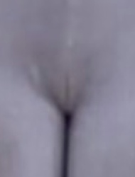 885d4174-9387-44c2-990d-b3c2655aa231