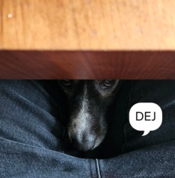 f9e1d69a-39f2-4599-845b-f2f75e6f3848