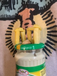 d0bd1edb-d088-4349-a3fc-e511cb7a5031