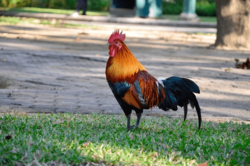 dbf85a36-1e1f-4751-9ac5-4ddab6e4a005