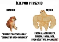 2193f474-89e5-457a-b540-5cc85684181a