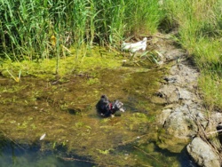 00c37b2f-30df-4f63-9e5a-614816fce57b