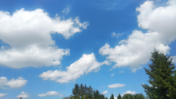 f4b50ebe-2214-4cdc-b520-fbd37cc8dcf6