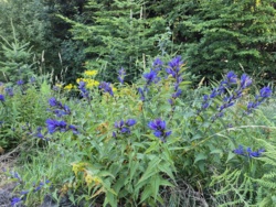 d0e589ba-cb8b-464d-8b6f-5ed865543fb6