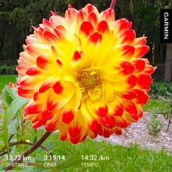 dc99b1f7-797f-4573-a64d-7810831faa38