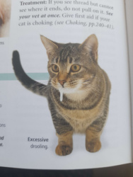 ea585711-82f0-4ded-8c0c-ea1f69b20461