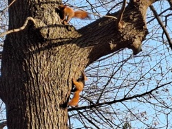 8691dea4-0ed0-4ecd-a01f-7f7433ba78ac